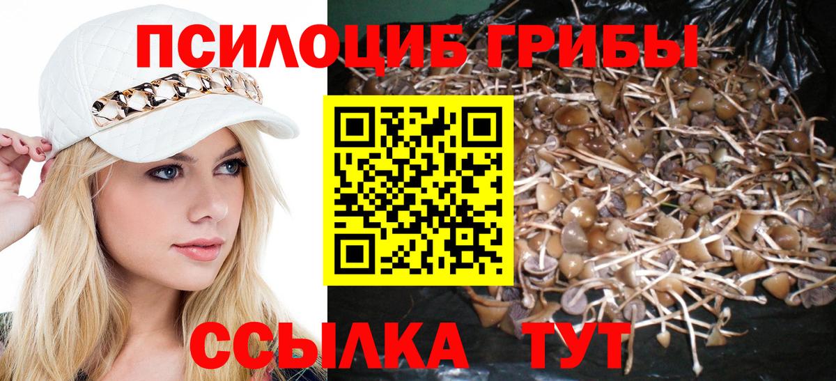 Псилоцибиновые грибы мухоморы  Вход с VPN  Шахты 